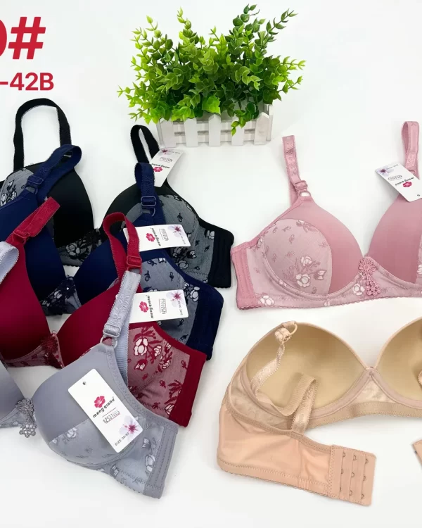 Wholesale Lace Trim Bra B Cup (619) - China lingerie manufacturer & supplier
