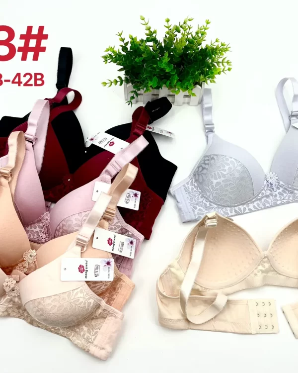 Wholesale Lace Trim Bra B Cup (623) - China lingerie manufacturer & supplier