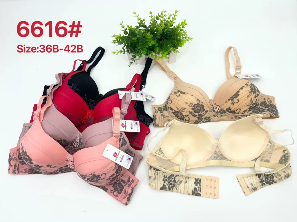 Wholesale Lace Trim Bra B Cup (6616) - China lingerie manufacturer & supplier