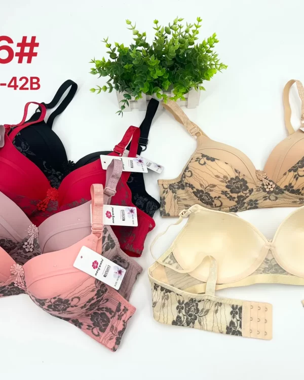 Wholesale Lace Trim Bra B Cup (6616) - China lingerie manufacturer & supplier