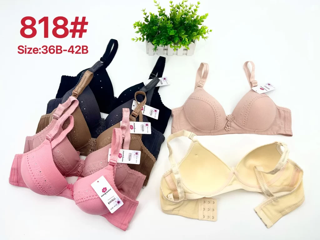 Wholesale Lace Trim Striped Bra B Cup (818) - China lingerie manufacturer & supplier
