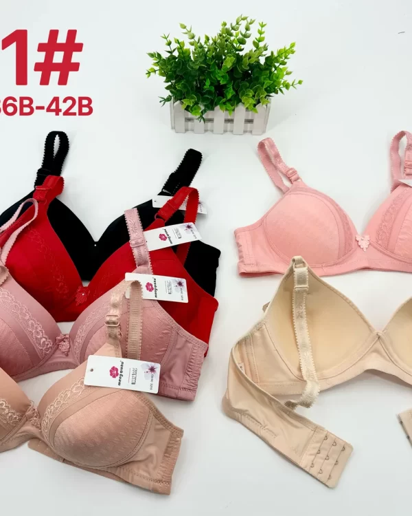 Wholesale Lace Trim Bra B Cup (A1) - China lingerie manufacturer & supplier