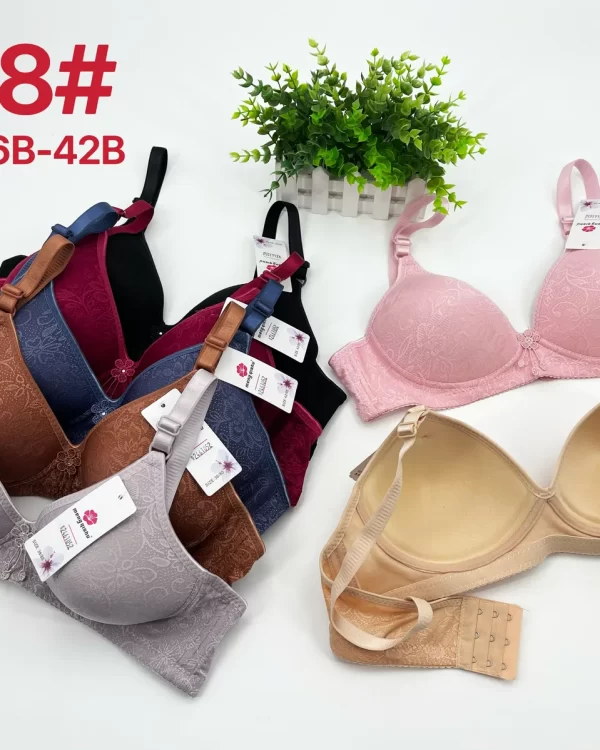 Wholesale Lace Trim Jacquard Bra B Cup (A18) - China lingerie manufacturer & supplier