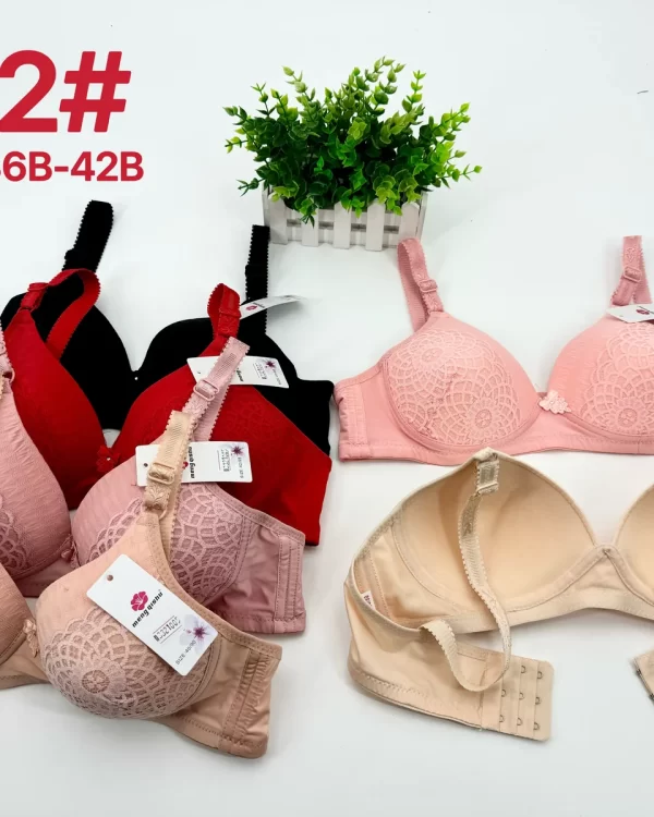 Wholesale Lace Trim Jacquard Bra B Cup (A2) - China lingerie manufacturer & supplier