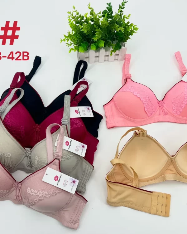 Wholesale Lace Trim Bra B Cup (V5) - China lingerie manufacturer & supplier