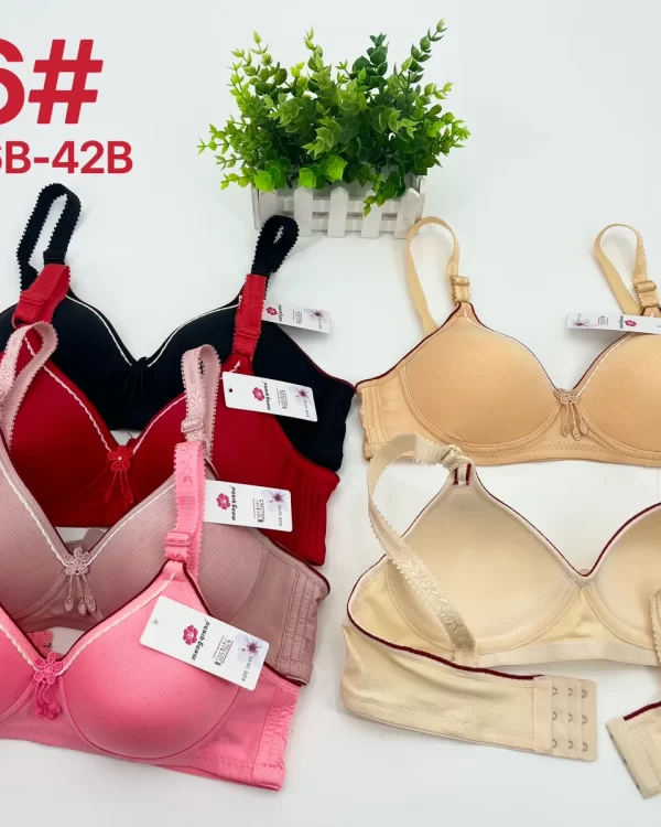 Wholesale Lace Trim Polka Dot Bra B Cup (V6) - China lingerie manufacturer & supplier