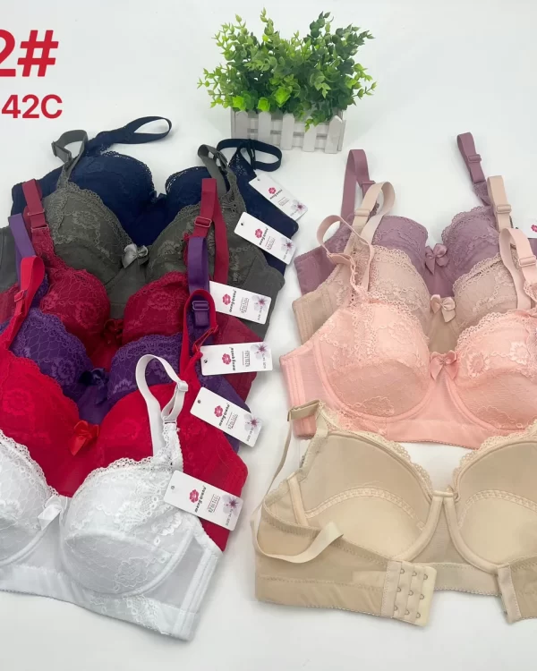 Wholesale Lace Trim Bra C Cup (2802) - China lingerie manufacturer & supplier