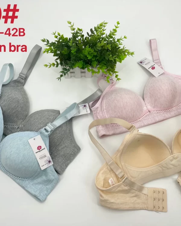Wholesale Nursing Bra B Cup (A19) - China lingerie manufacturer & supplier