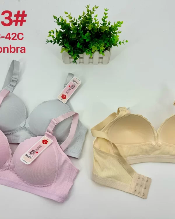 Wholesale Nursing Bra C Cup (9903) - China lingerie manufacturer & supplier