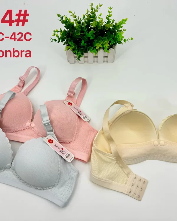 Wholesale Nursing Bra C Cup (9904) - China lingerie manufacturer & supplier