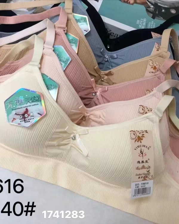 Wholesale Plus Size Girls Bra (0616) - China lingerie manufacturer & supplier