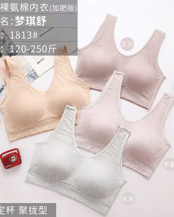 Wholesale Plus Size bra model 1813 from factory 306 - China lingerie manufacturer & supplier