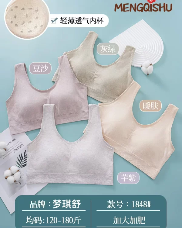 Wholesale Plus Size Vest Bra (1848) - China lingerie manufacturer & supplier