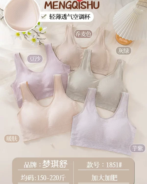 Wholesale Plus Size Vest Bra (1851) - China lingerie manufacturer & supplier