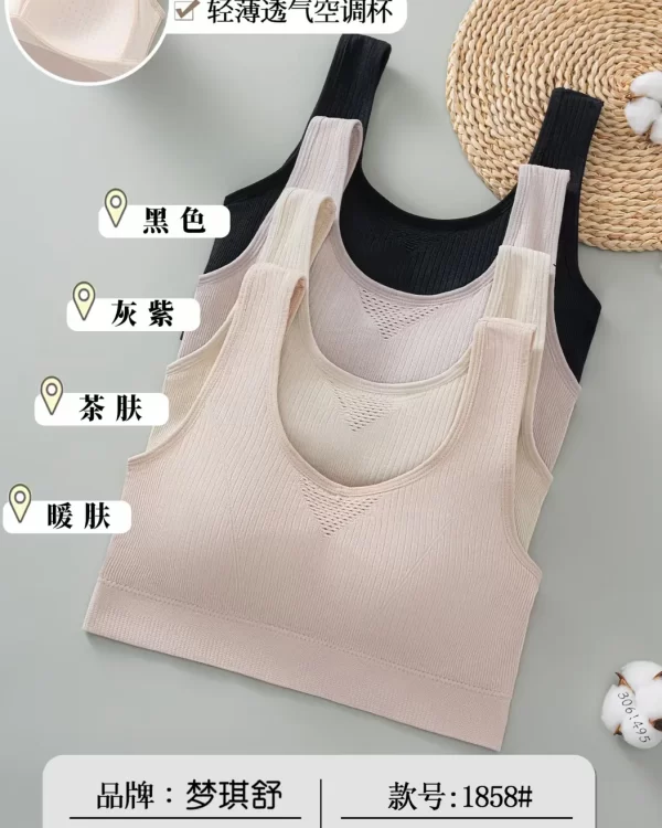 Wholesale Plus Size Vest Bra (1858) - China lingerie manufacturer & supplier
