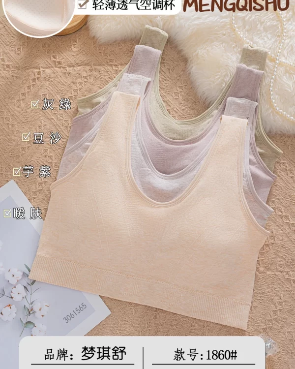 Wholesale Plus Size Vest Bra (1860) - China lingerie manufacturer & supplier