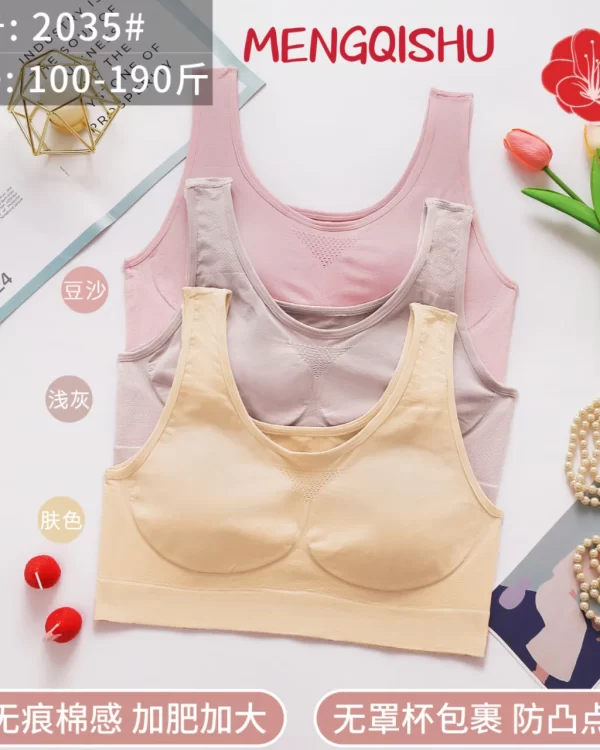 Wholesale Plus Size bra model 2035 from factory 200 - China lingerie manufacturer & supplier