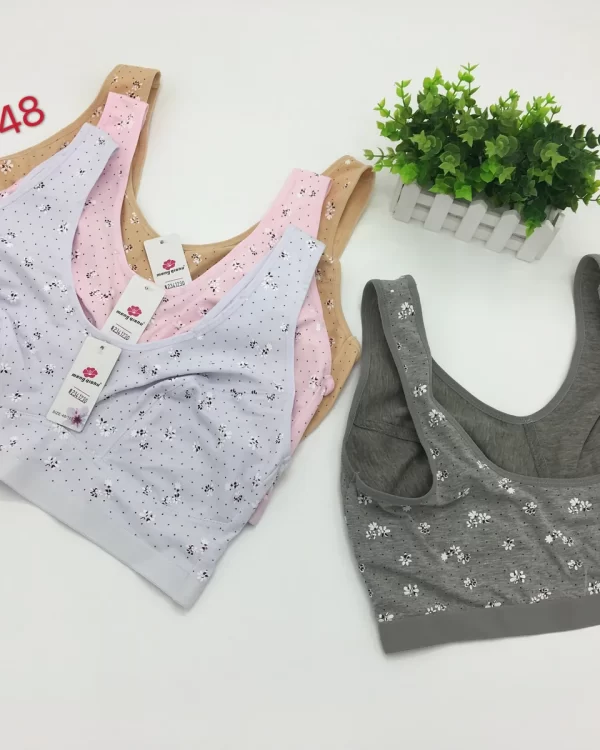 Wholesale Plus Size bra model 217 from factory 234 - China lingerie manufacturer & supplier