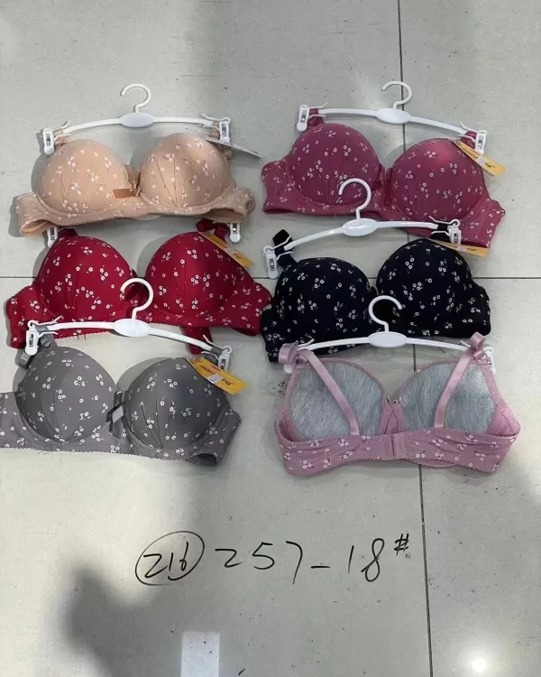 Wholesale Plus Size Floral Print Bra (257-18) - China lingerie manufacturer & supplier