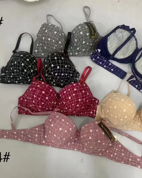 Wholesale Plus Size Floral Print Bra (3617) - China lingerie manufacturer & supplier