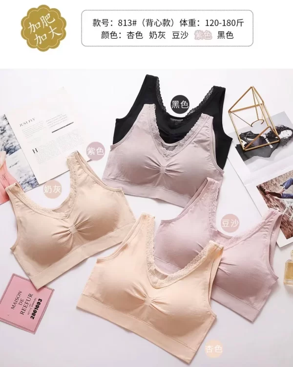 Wholesale Plus Size Vest Bra (813) - China lingerie manufacturer & supplier
