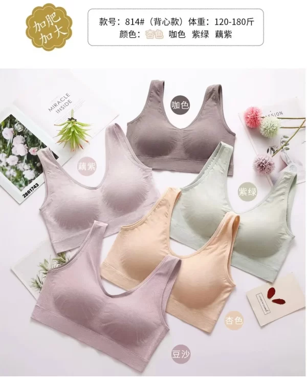 Wholesale Plus Size bra model 814 from factory 286 - China lingerie manufacturer & supplier