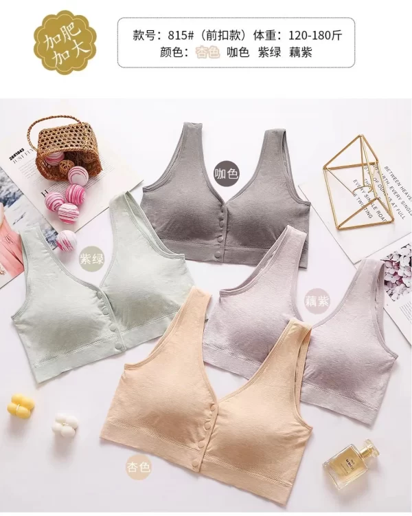 Wholesale Plus Size Vest Bra (815) - China lingerie manufacturer & supplier