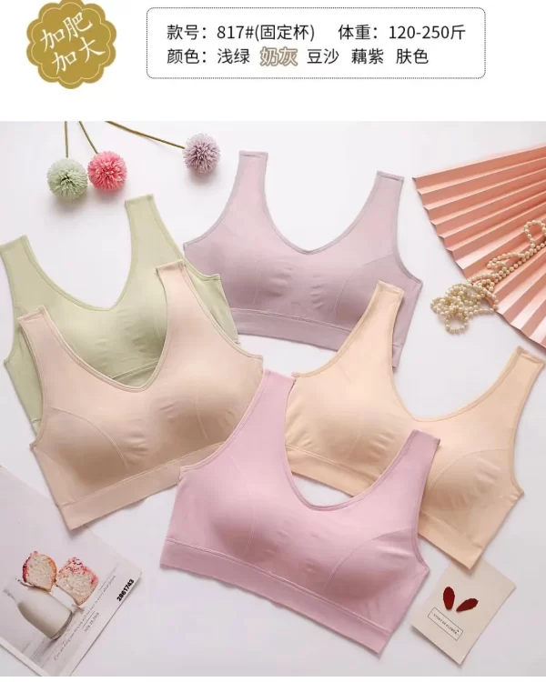 Wholesale Plus Size Vest Bra (817) - China lingerie manufacturer & supplier