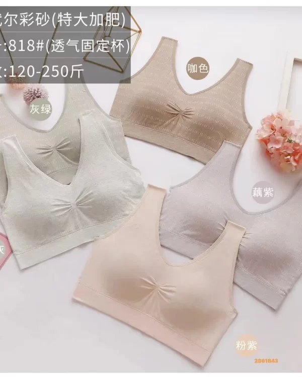 Wholesale Plus Size Vest Bra (818) - China lingerie manufacturer & supplier