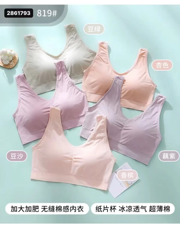 Wholesale Plus Size Vest Bra (819) - China lingerie manufacturer & supplier