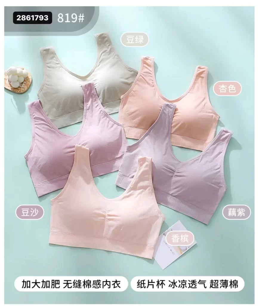 Wholesale Plus Size Vest Bra (819) - China lingerie manufacturer & supplier