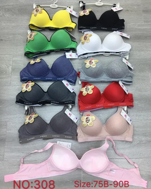 Wholesale Plus Size bra B cup model 308 from factory 226 - China lingerie manufacturer & supplier