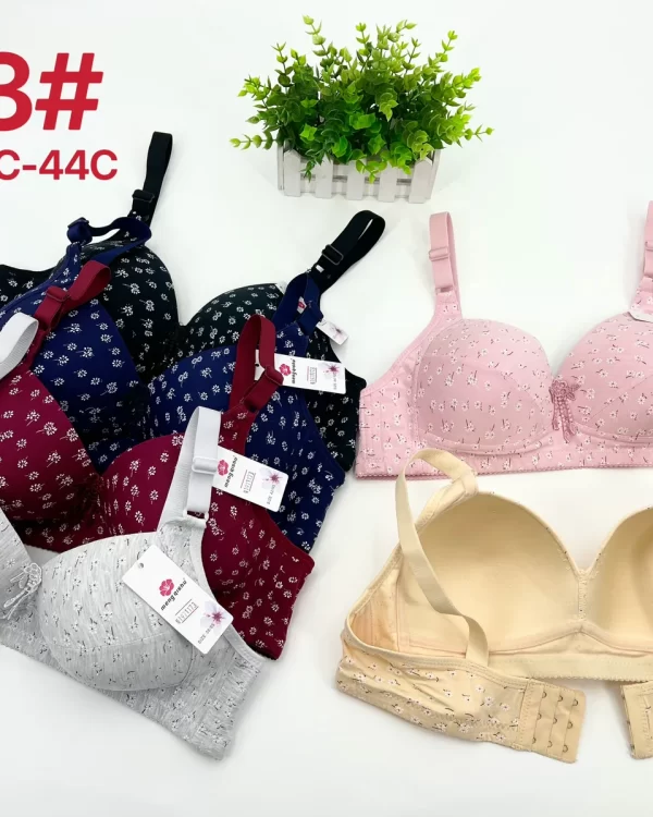Wholesale Plus Size bra C cup model 123 from factory 197 - China lingerie manufacturer & supplier