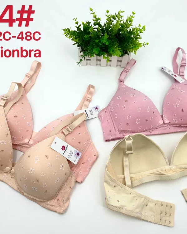 Wholesale Plus Size bra C cup model 164 from factory 278 - China lingerie manufacturer & supplier