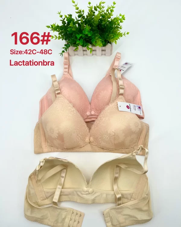 Wholesale Plus Size bra C cup model 166 from factory 278 - China lingerie manufacturer & supplier