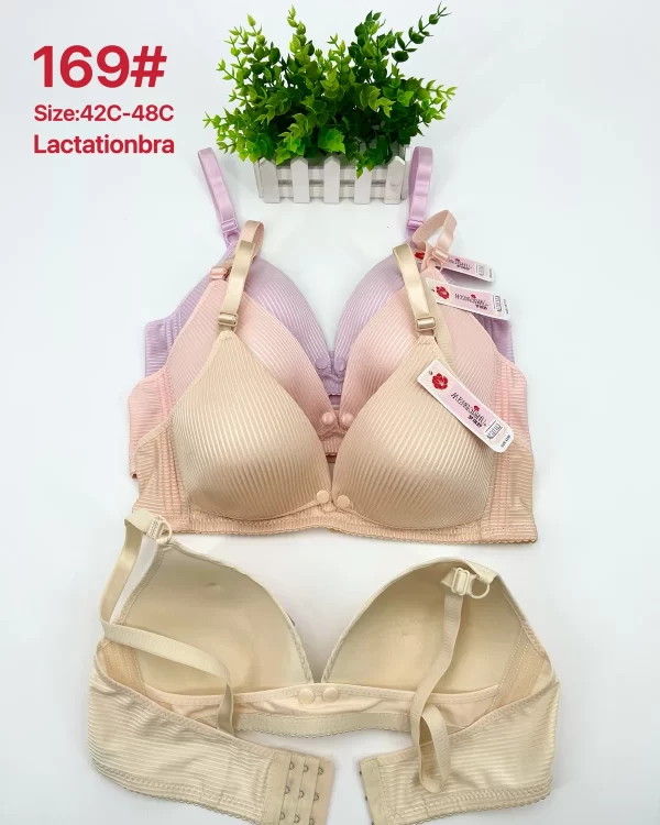 Wholesale Plus Size bra C cup model 169 from factory 278 - China lingerie manufacturer & supplier