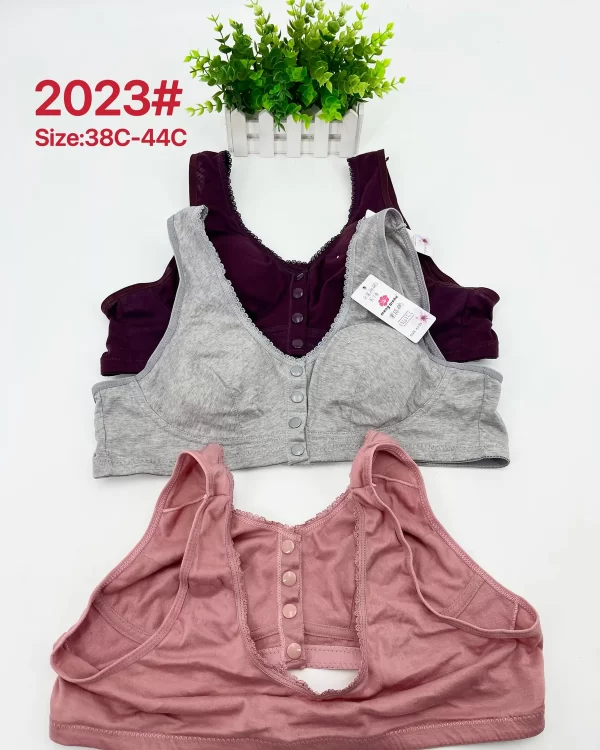 Wholesale Plus Size Bra C Cup (2023) - China lingerie manufacturer & supplier