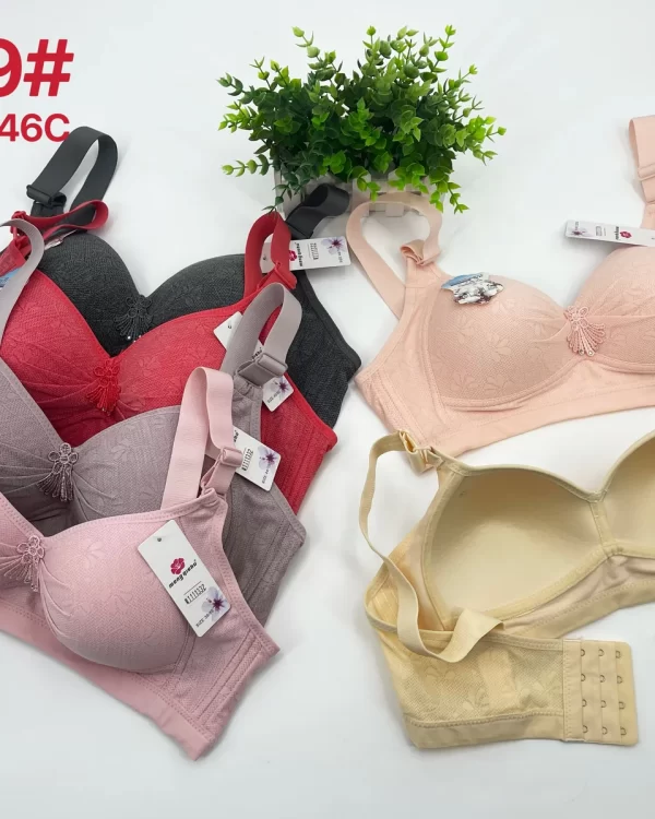 Wholesale Plus Size Lace Trim Bra C Cup (2029) - China lingerie manufacturer & supplier