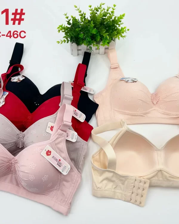 Wholesale Plus Size Lace Trim Bra C Cup (2031) - China lingerie manufacturer & supplier