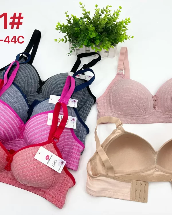 Wholesale Plus Size Lace Trim Bra C Cup (2031) - China lingerie manufacturer & supplier