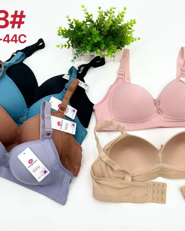 Wholesale Plus Size Lace Trim Bra C Cup (2033) - China lingerie manufacturer & supplier