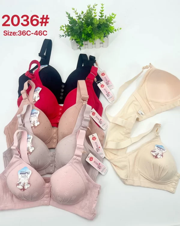 Wholesale Plus Size Bra C Cup (2036) - China lingerie manufacturer & supplier