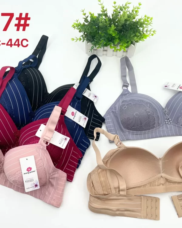 Wholesale Plus Size Lace Trim Bra C Cup (2067) - China lingerie manufacturer & supplier