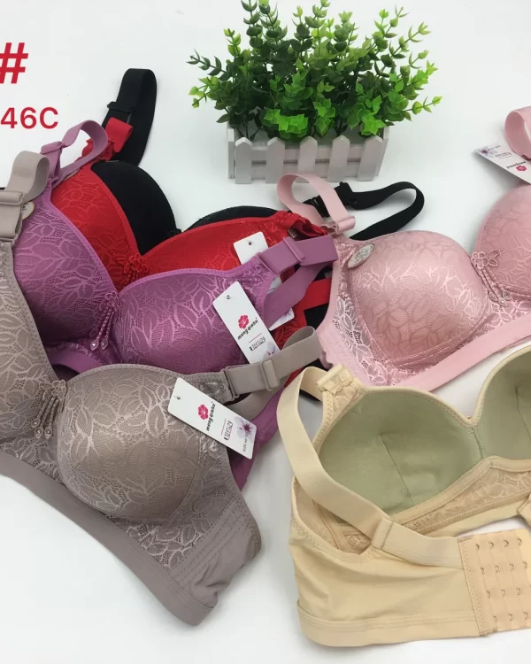 Wholesale Plus Size bra C cup model 208 from factory 109 - China lingerie manufacturer & supplier