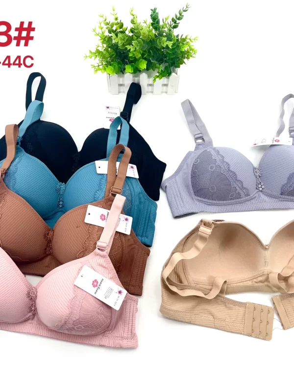 Wholesale Plus Size Lace Trim Bra C Cup (2093) - China lingerie manufacturer & supplier