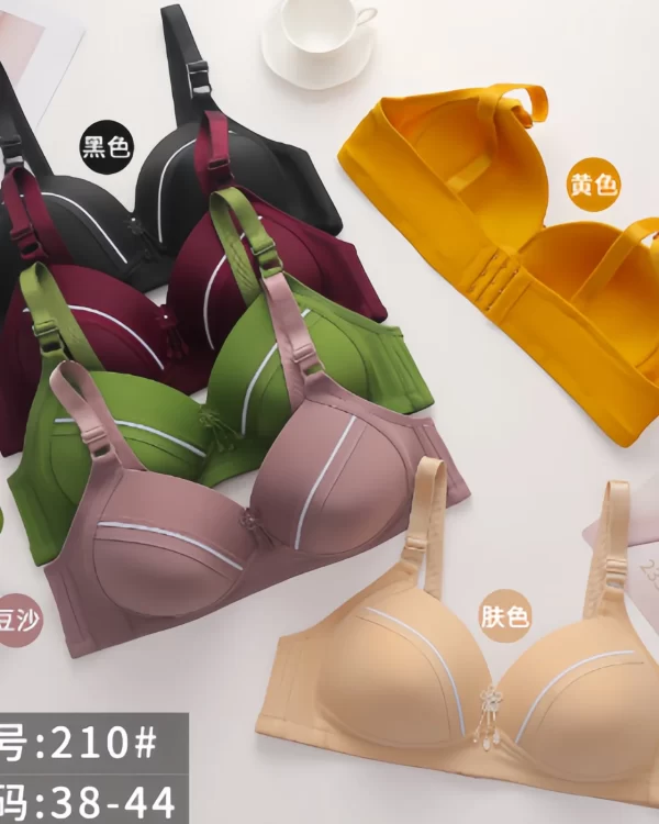 Wholesale Plus Size Bra C Cup (210) - China lingerie manufacturer & supplier