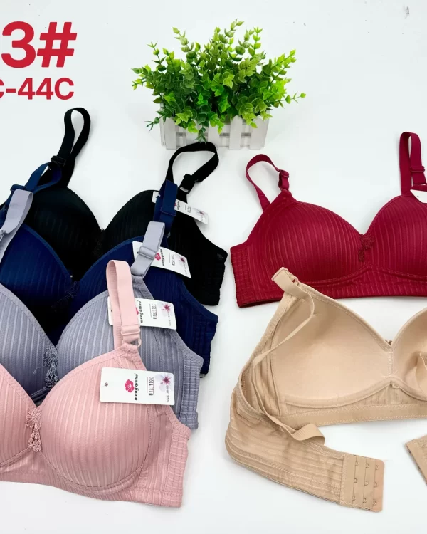 Wholesale Plus Size Bra C Cup (2203) - China lingerie manufacturer & supplier
