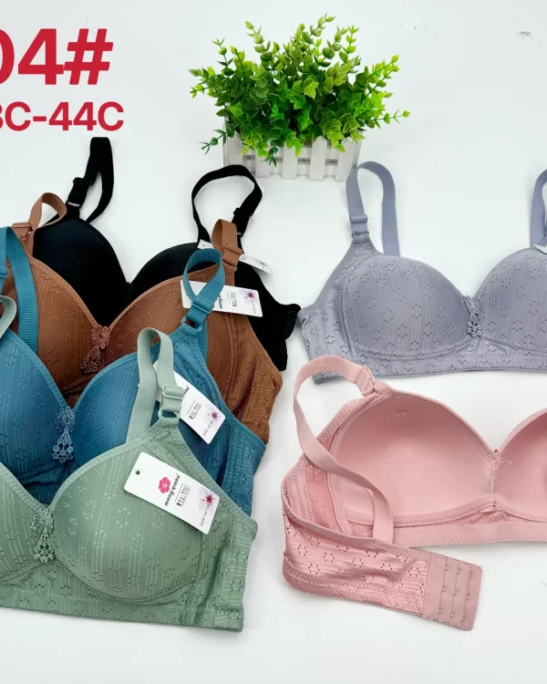 Wholesale Plus Size Bra C Cup (2204) - China lingerie manufacturer & supplier