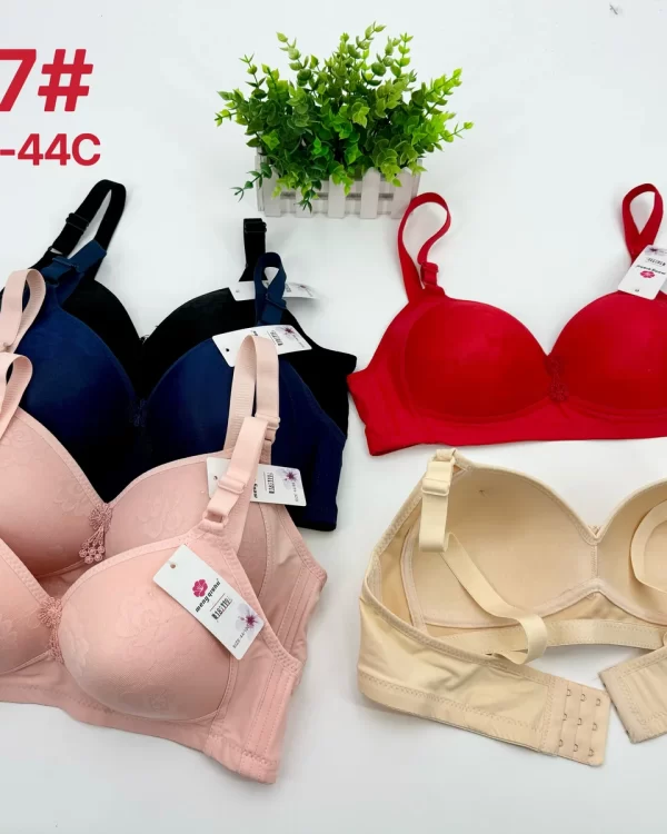 Wholesale Plus Size Jacquard Bra C Cup (2207) - China lingerie manufacturer & supplier