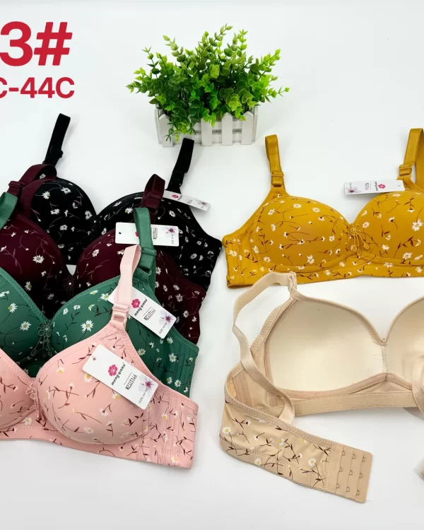 Wholesale Plus Size Bra C Cup (2213) - China lingerie manufacturer & supplier